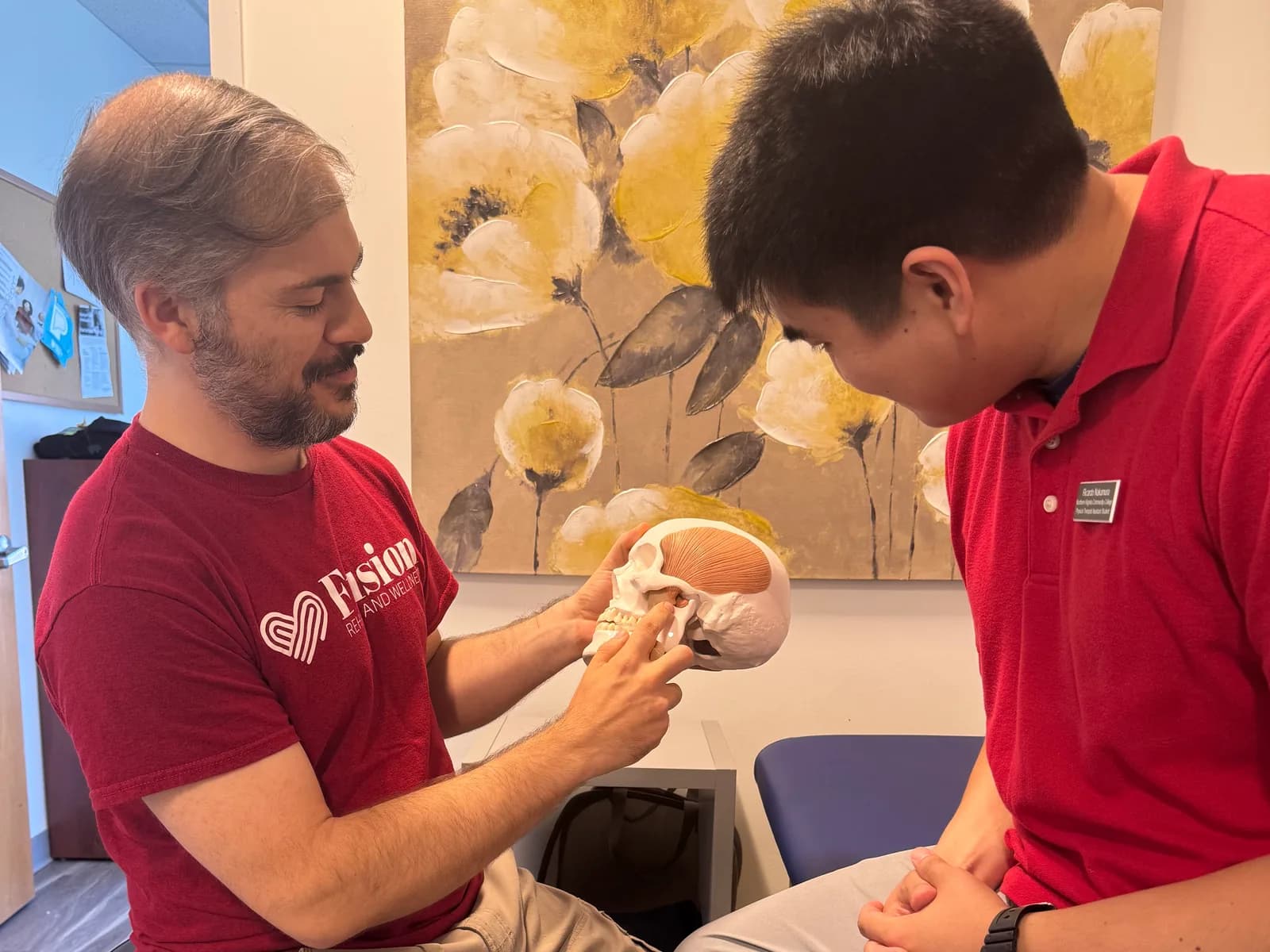 Demonstration of jaw anatomy using a skull model.